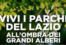 Lazio: dal 26 luglio “All’ombra dei grandi alberi”, sei domeniche nei parchi con slow food.