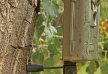 Formello: contro l’abbandono dei rifiuti, da oggi operative le fototrappole.