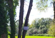 Capena: vietato accesso area Lago Puzzo, rischio di emissione gas nocivi.