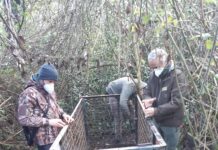 Veio, parco Volusia: sequestrata gabbia per catture.