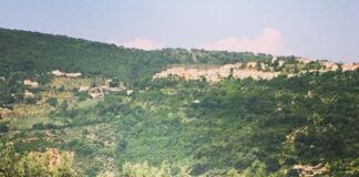 Da Roma a Mompeo sulla via della cannabis light.