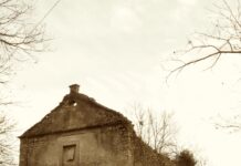 Nazzano, gruppo di ragazzi recupera chiesa del ‘600