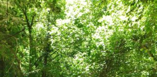 Sabato 1 e domenica 2 maggio visite guidate alla Valle del Treja.