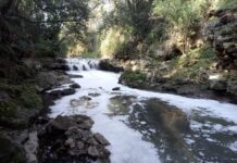 Gramiccia, Arpa avvia indagine. Dopo dossier, lettera sindaci Capena e Fiano.