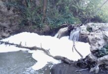 Schiuma a gogò oggi nel Gramiccia. Lo scempio continua