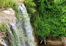 Il caso Gramiccia arriva in Regione.