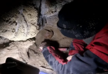 Scoperta sensazionale: al Circeo i resti di 9 uomini di Neanderthal.