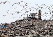 Magliano Romano, la Raggi tratta i Comuni solo come pattumiera