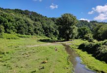 Parco di Veio: sabato 3 luglio laboratori in natura a Formello.