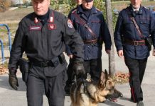 Roma, nascondeva cocaina nei brik del tè. Arrestato pusher con 270 dosi.