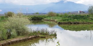 Scavi S. Marta, non si interra ma serve progetto per salvare l’antico Bivio di Capena.