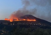 Dietro gli incendi il cambiamento climatico. Milioni di alberi per raffreddare il mondo