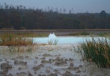 Domenica 12 settembre escursione alla Caldara di Manziana.
