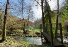 Domenica 3 ottobre “Non ci possiamo perdere nella Valle del Treja”.