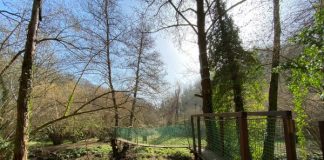 Domenica 3 ottobre “Non ci possiamo perdere nella Valle del Treja”.