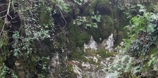 William Sersanti il poeta delle nostre terre segrete