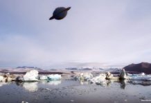 “Castelnuovo Fotografia”, il programma di oggi, domenica 3 ottobre.