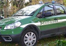 Abbandono di rifiuto. Controlli e sanzioni dei Carabinieri Forestali di Civita Castellana