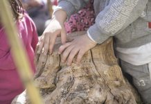 Pedagogia: spunti e riflessioni per i genitori.