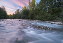 Tiberis, l’anima segreta del Tevere nelle foto di Matteo Luciani