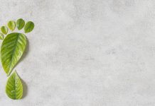 Pacchetto sull’economia circolare: obiettivi ambiziosi ma importanti.