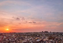 Life in plastic it’s not fantastic!