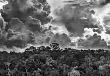 Guarire il pianeta: “Amazônia”, la cura di Sebastião Salgado