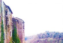 Escursioni: domenica 16 gennaio “Nella Valle del Treja, tra borghi e natura”.