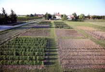 Castelnuovo di Porto: al via gli “Orti urbani”.