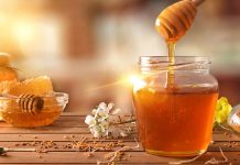 Parco di Veio, tutelare le api italiane per il miele migliore