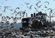 Rifiuti: siamo la valle dei comuni “ricicloni”, no terra di megadiscariche