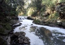 Inquinamento Gramiccia, aperto procedimento penale, indagato responsabile