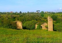 Sacrofano, grande successo per la Camminata in Rosa