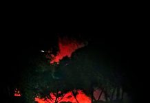 La lunga scia di incendi tra Capena e Fiano. Segnali di malaffare