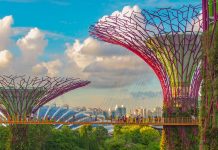 Crisi energetica, gli alberi solari una possibile soluzione