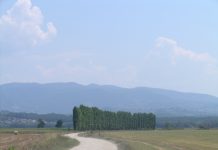 Strade bianche e fontanili. Arrivano fondi per curare la terra fuori le mura