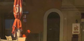 Capena, nottempo famiglia di cinghiali va al bar