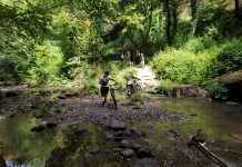 Parco di Veio, Polesi: “Mille giorni da presidente”.