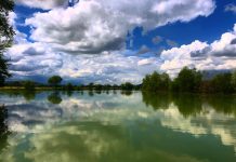 Lunga vita al parco Tevere Farfa, oggi compie 43 anni