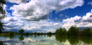Lunga vita al parco Tevere Farfa, oggi compie 43 anni