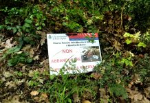 Gattaceca, riserva naturale di bellezza e inciviltà.