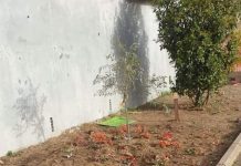 Capena, vandalizzata l’aiuola realizzata dai bimbi