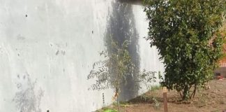 Capena, vandalizzata l’aiuola realizzata dai bimbi