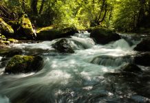 Valle del Treja: tra natura, storia e magia