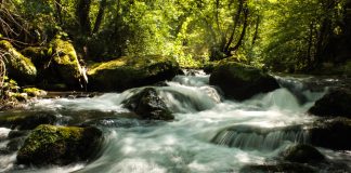 Valle del Treja: tra natura, storia e magia