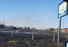 Capena, gli agricoltori chiedono cisterne per salvare i raccolti