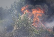 Capena, incendio brucia campo d’orzo e silos in vetroresina.