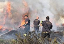 Magliano Romano: incendio doloso, impossibile accedere al paese