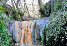 L’acqua, le mole e il sussulto di un sogno
