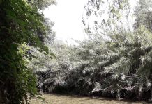 Il fiume del Farfa tra turismo e acqua potabile
